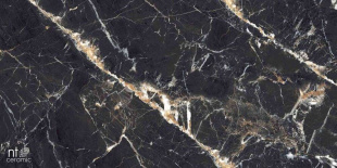 Керамогранит NT Ceramic Marmo Black Lamos High Glossy арт. NTT99529P (60x120) полированная